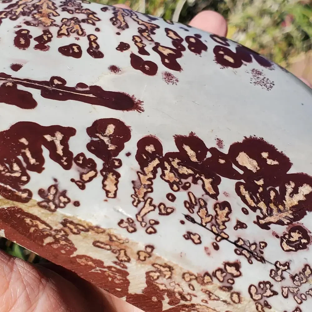 Picture Stone Jasper Dendritic Dendrite Display Freeform 706 Gram